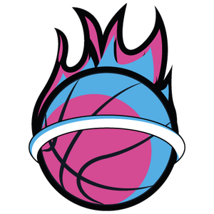 https://img.hyzchr.org/img/basketball/team/ff7ccef6a6b79c6417ee8367946b0aec.png